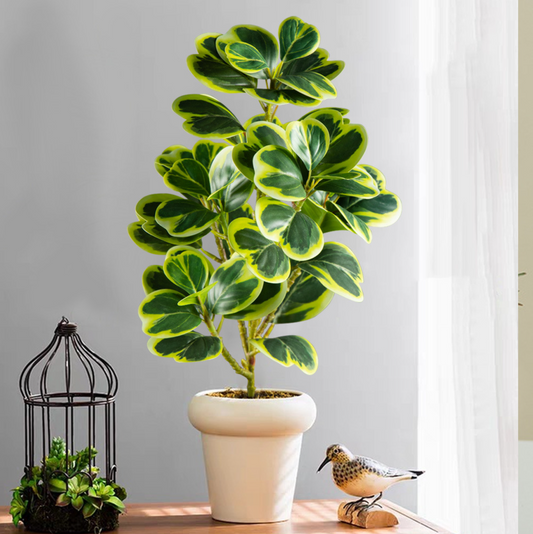 Artificial Rubber Plant 37cm