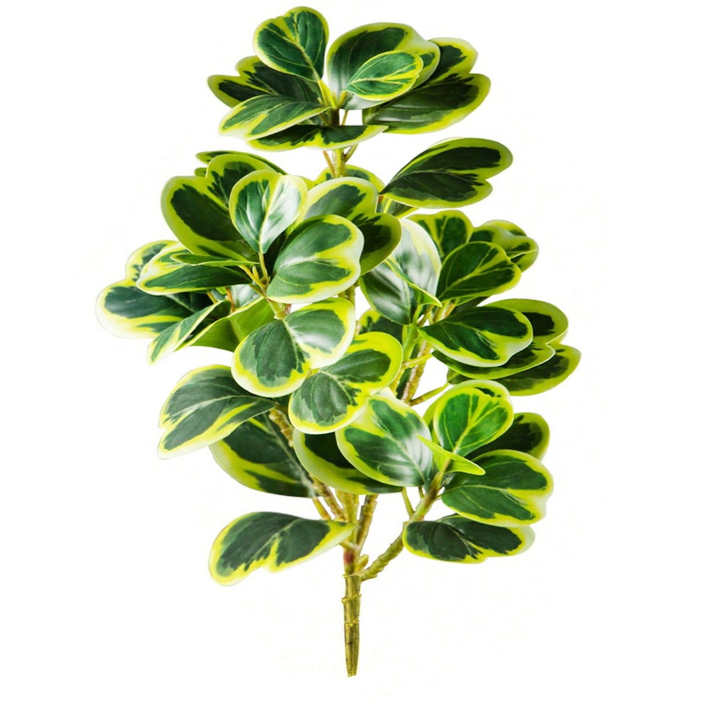 Artificial Rubber Plant 37cm