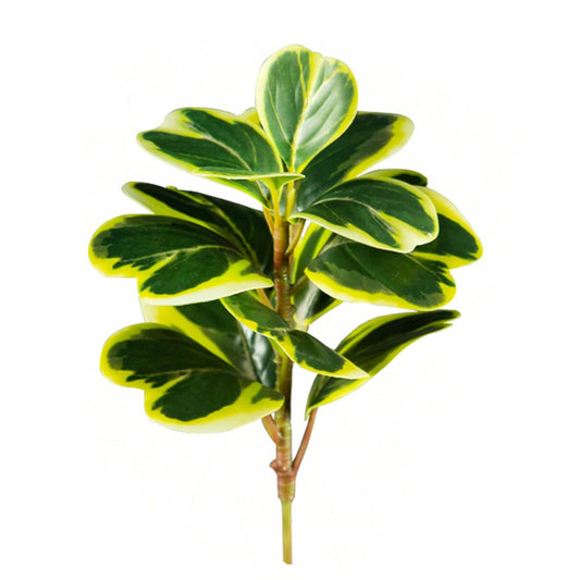 Artificial Rubber Plant 20cm