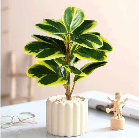 Artificial Rubber Plant 20cm