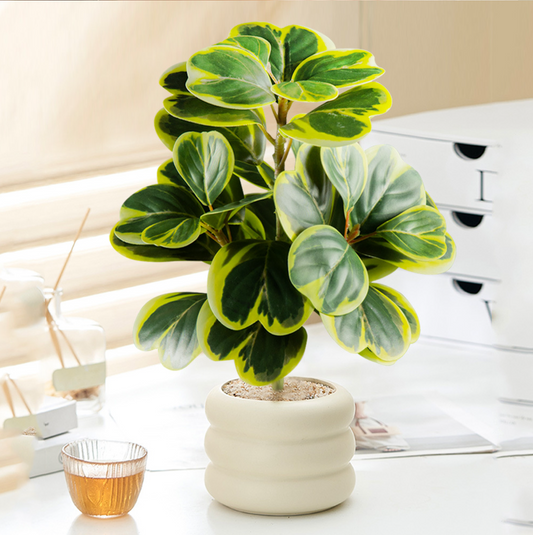 Artificial Rubber Plant 22cm