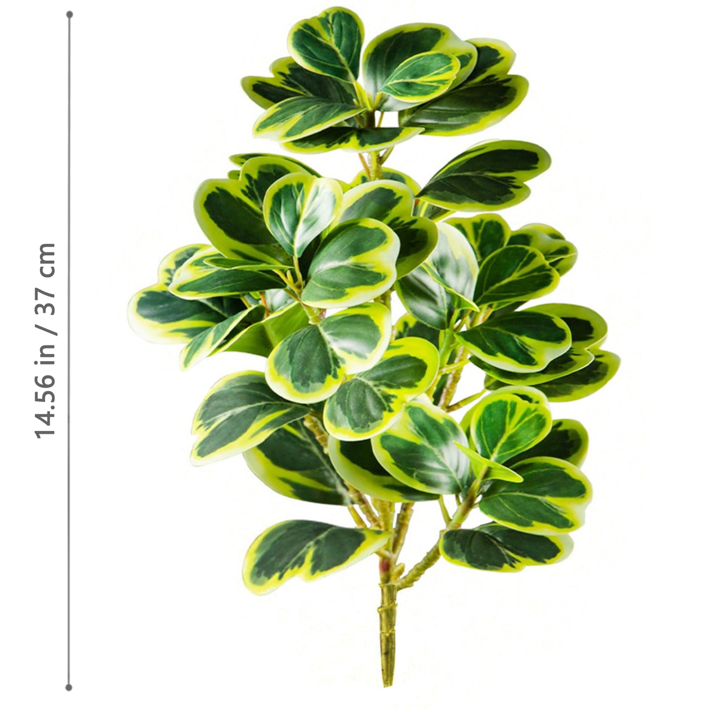 Artificial Rubber Plant 37cm
