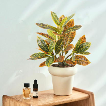 Artificial Golden Banyan Plant 32cm